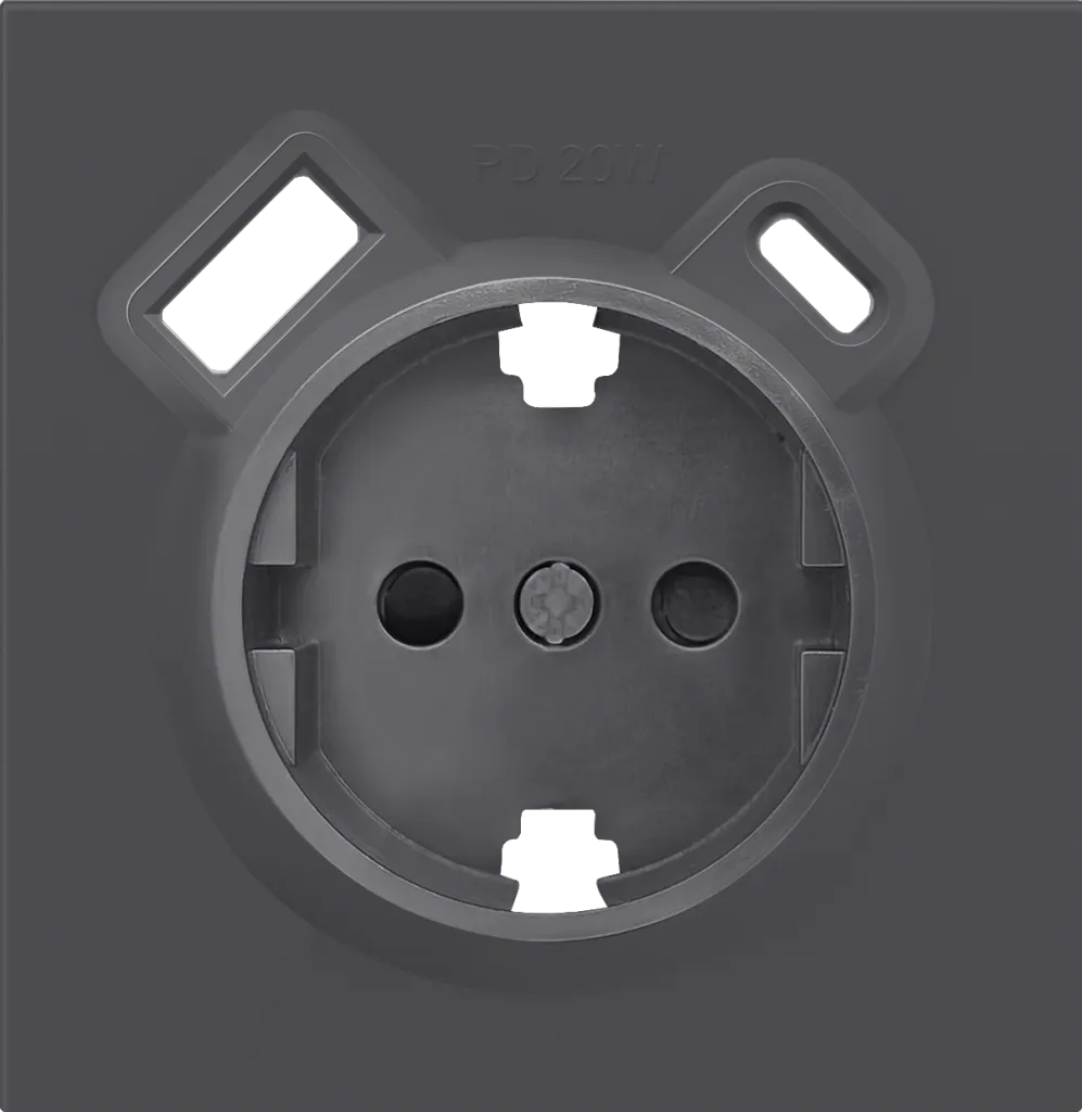 Donel DA22228 R98 черный накладка для розетки Schuko с зарядным устройством USB A+C, с защитными шторками ,