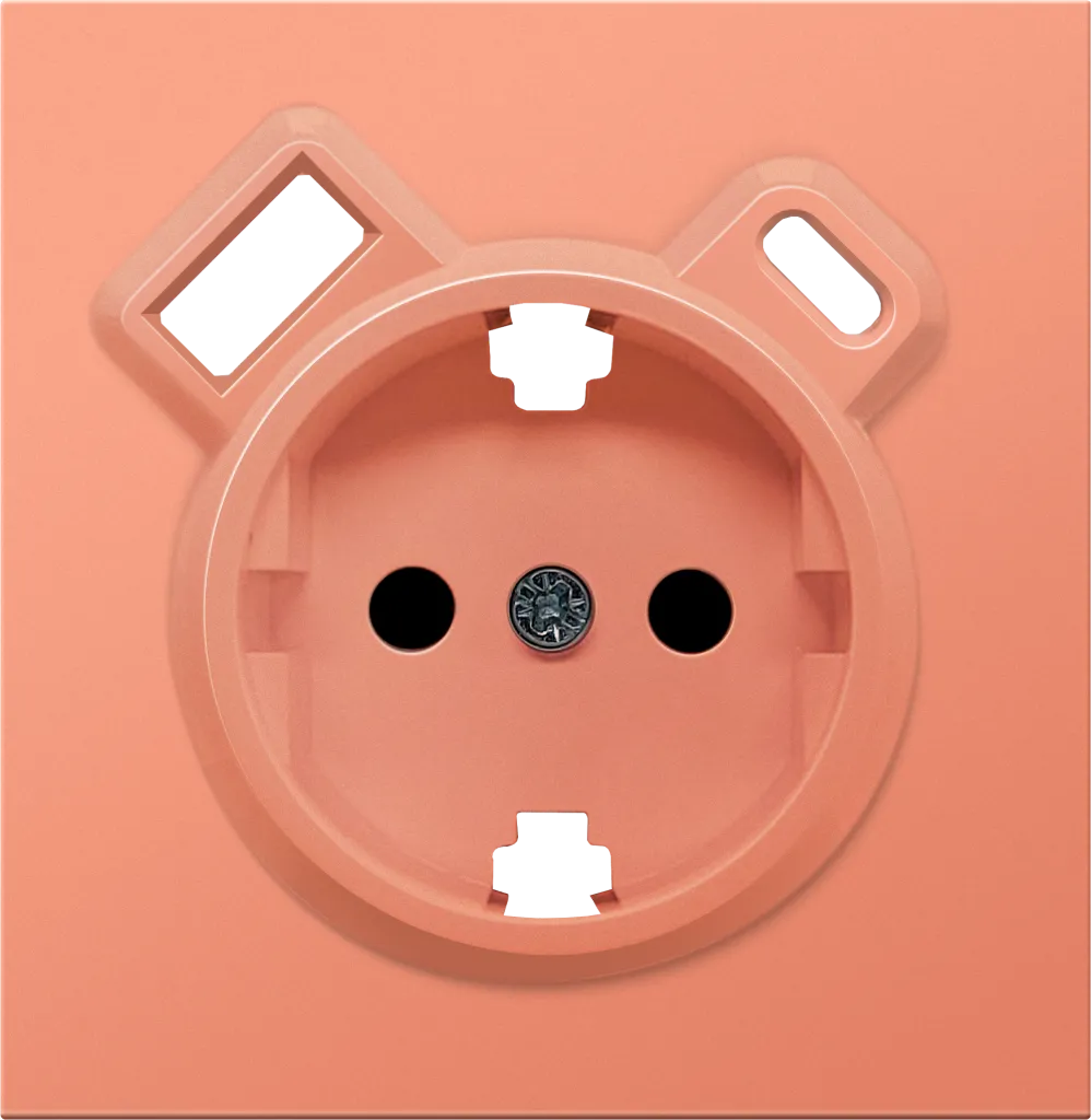 Donel DA22245 R98 матовый коралл накладка для розетки Schuko с зарядным устройством USB A+C, с защитными што