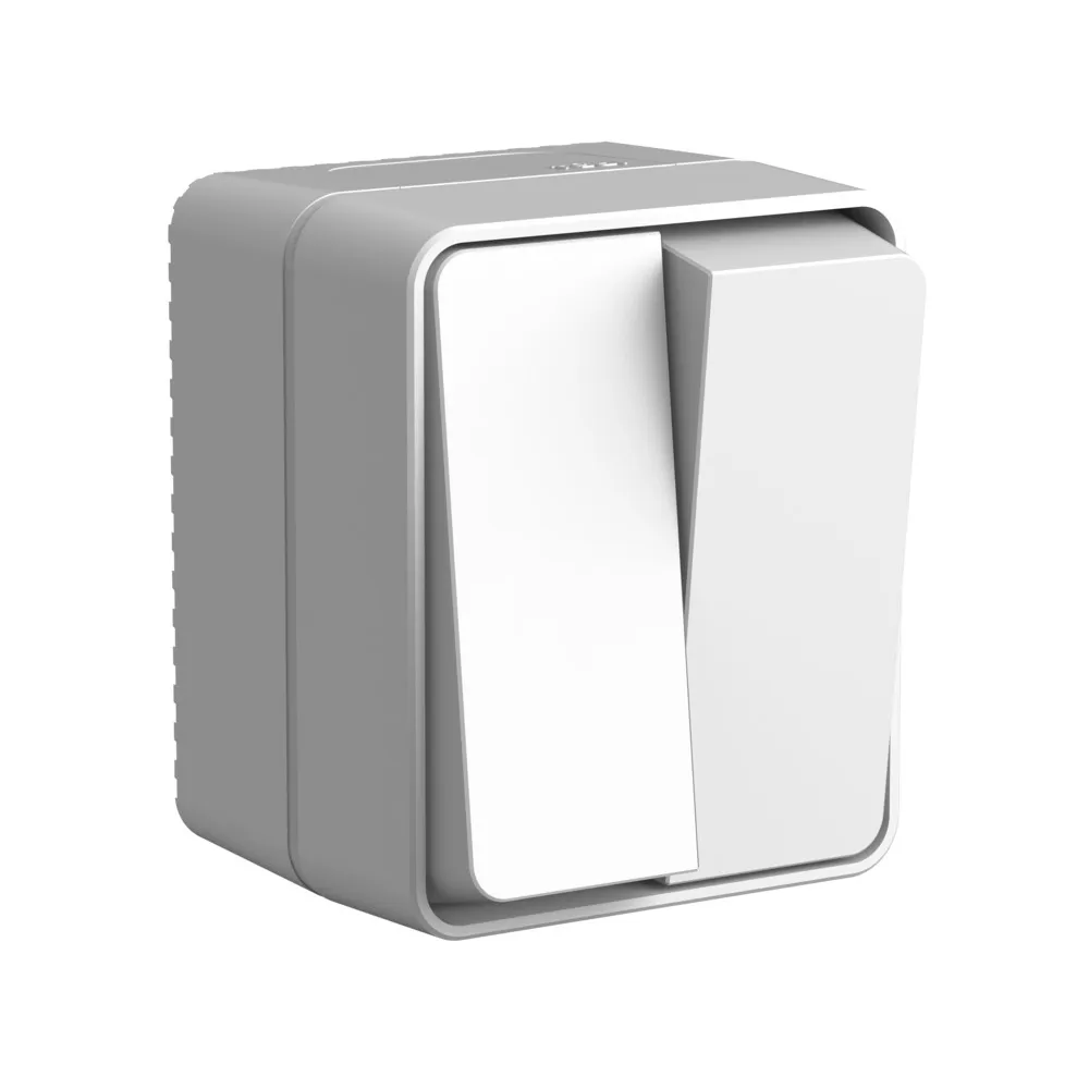 Systeme Electric (Schneider Elecrtic) AtlasDesign SE ATN543051, Profi54 Наруж Серый Выключатель 2-клавишный 10 АХ