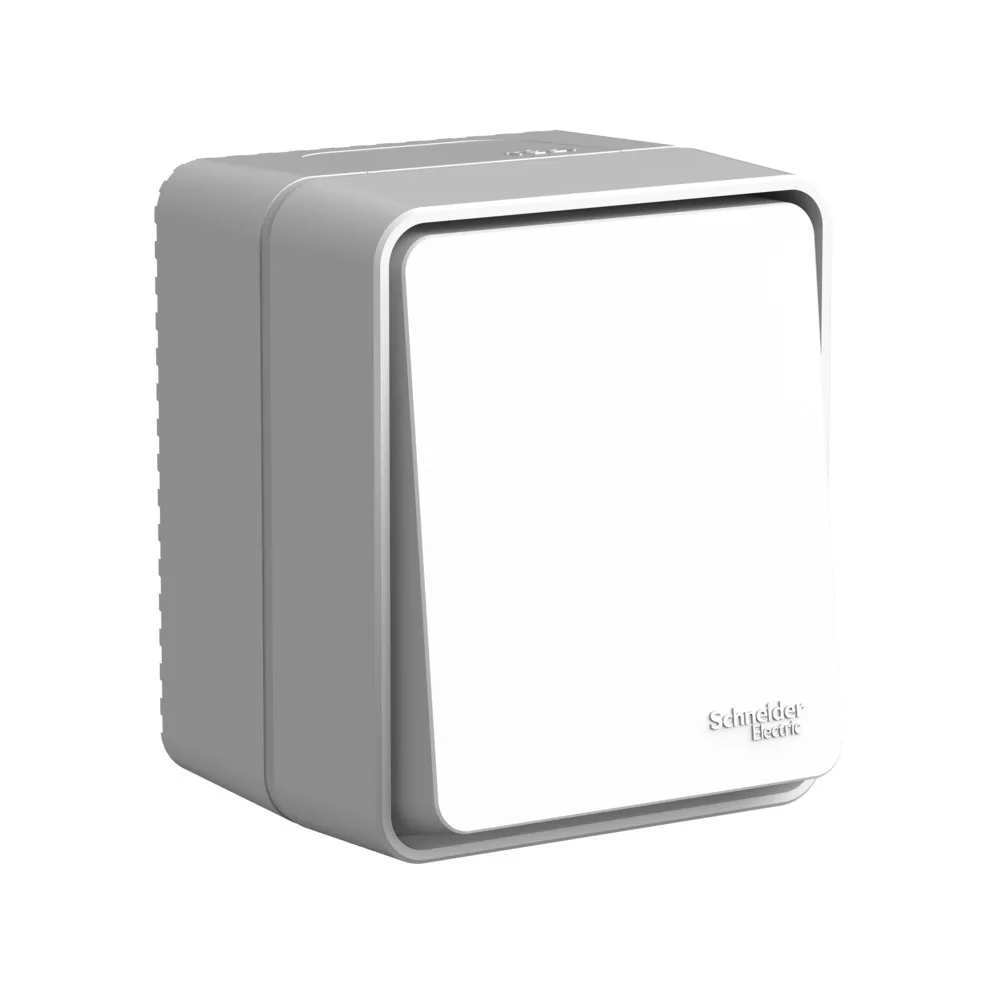 Systeme Electric (Schneider Elecrtic) AtlasDesign SE ATN543061, Profi54 Наруж Серый Переключатель 1-клавишный 10 АХ