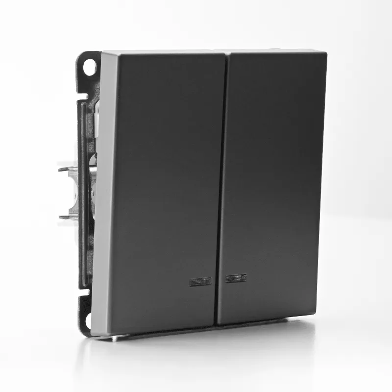 Systeme Electric ArtGallery SE GAL000953S, Сталь Выключатель 2-клавишный с подсветкой, сх.5а, 10АХ, механизм, быстрозажим. клем.