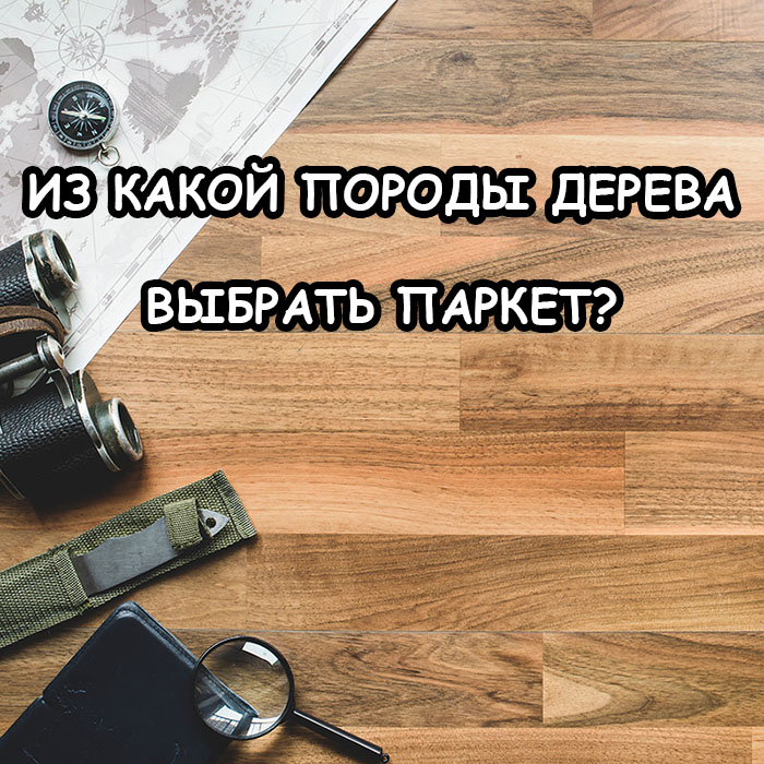 ТОП пород дерева для паркета — от дуба до палисандра